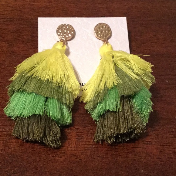 Jewelry - 🌼NWT Fun Shades Green Tassel Lightweight Earrings